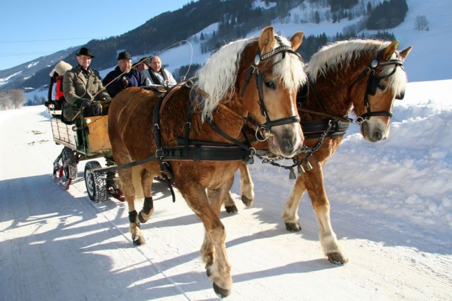 Pferdeschlittenfahrt durch das beschauliche Untertal (© Region Schladming-Dachstein, Herbert Raffalt)